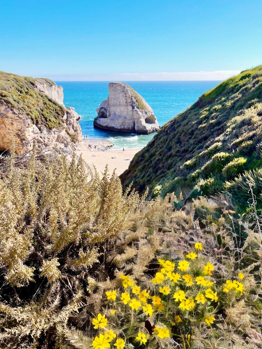 Shark Fin Cove à Santa Cruz : une belle plage isolée du nord de la Californie